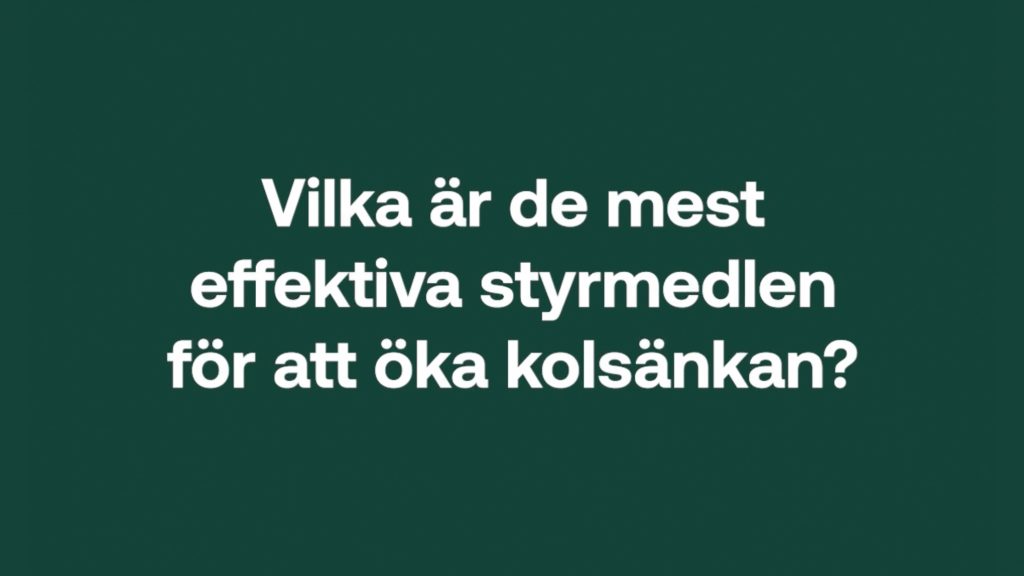 Vilka är de mest effektiva styrmedlen för att öka kolsänkan?