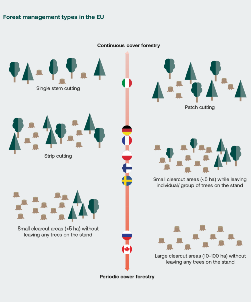 management_types
